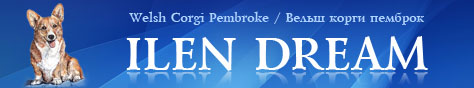 Ilen Dream